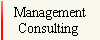 Management
Consulting 